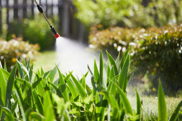 Void Injection for Cockroach Colonies in East Palestine