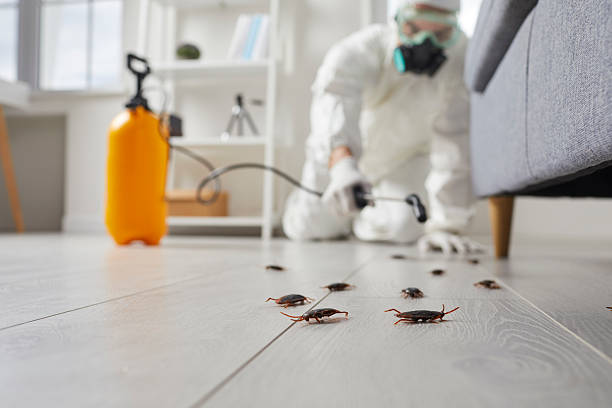 Commercial Kitchen Cockroach Control in East Palestine
